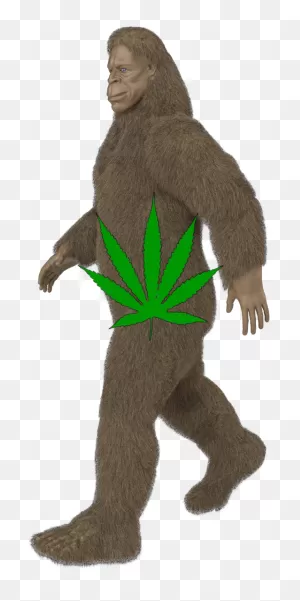 Bigfoot Png - Costume Clipart - Full Size Clipart (#3507465 ClipartFlare.com 