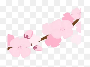 Download Hd Blossom Clipart Sakura Petal - Clip Art Transparent ClipartFlare.com 