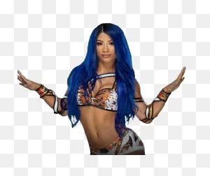 Sasha Banks 2019 Sd Render By Ambriegnsasylum16 On 