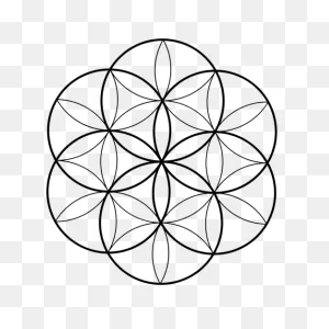 Flower Sacred Geometry Png Image. Download As PNG-WebP Vector, Eps Or ClipartFlare.com 