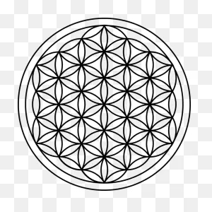 Flower Of Life Sacred Geometry - Free Vector Graphic On ClipartFlare