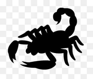 Download Hd Scorpion Clip Art - Black Scorpion Clip Art ClipartFlare.com 