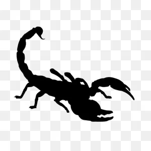 Scorpion Silhouette | Free PNG-WebP