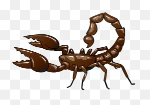 Scorpion Clipart. Free Download Transparent .png | ClipartFlare