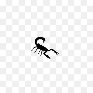 Scorpion Image | Free PNG-WebP