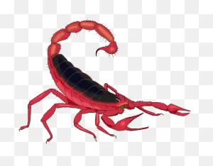 Scorpion Clipart Gif - ClipartFlare