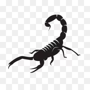 Scorpion Silhouette Clip Art-1576774256 | Free PNG-WebP