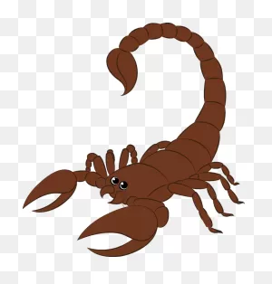 Scorpion Clipart. Free Download Transparent .png | ClipartFlare