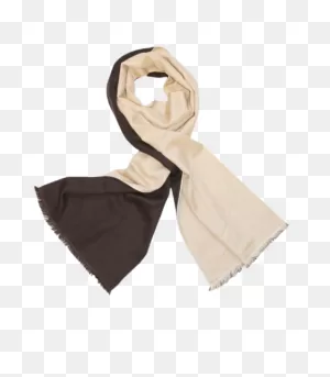Pashmina Cashmere Silk Woven Double Face Scarf Dark Brown Camel