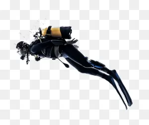 Kl Scuba Diver Clipart - Large Size Png Image - ClipartFlare