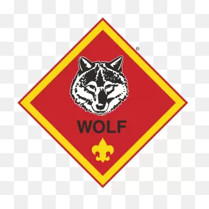 Scout Advancement