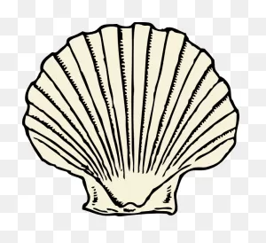 Free Seashell Clipart Transparent, Download Free Seashell Clipart ClipartFlare.com 