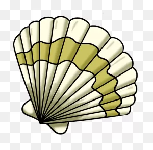 How To Draw Seashell - Easy Simple Shell Drawing Clipart - Full ClipartFlare.com 