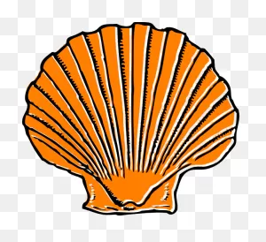 Orange Seashell Clip Art At ClipartFlare ClipartFlare.com - Vector Clip Art Online ClipartFlare.com 