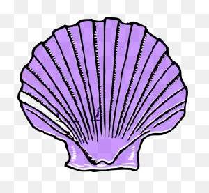 Purple Seashell Clipart - ClipartFlare