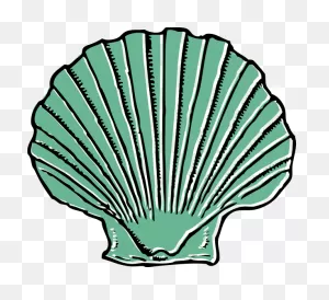 Sage Green Seashell Clip Art At ClipartFlare ClipartFlare.com - Vector Clip Art Online ClipartFlare.com 