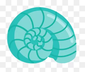 Seashell Clipart. Free Download Transparent .png | ClipartFlare