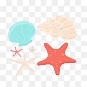 Seashell Clip Art Sea Shells Clip Art Seashells 2 Image 2 - ClipartFlare