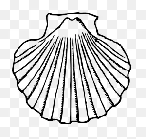 Seashell Clip Art Free Printable Clipart Images 2 - ClipartFlare