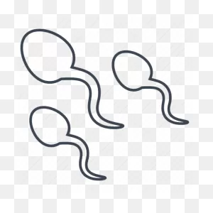 Sperm, Sex, Sperms, Semen Icon - Download On Iconfinder