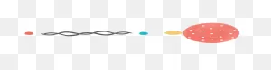 Semen Analysis | Mate Fertility