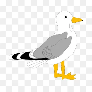 Cartoon Seagull Png, PNG-WebP Clip Art For Web - Download Clip Art, Png ClipartFlare.com 