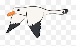 Flying Seagull Clipart. Free Download Transparent .png | ClipartFlare