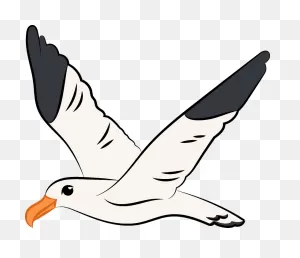 Flying Seagull Clipart. Free Download Transparent .png | ClipartFlare