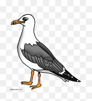 Free Seagull Cliparts, Download Free Seagull Cliparts Png Images ClipartFlare.com 