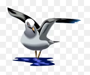 Landing Seagull Clip Art At ClipartFlare ClipartFlare.com - Vector Clip Art Online ClipartFlare.com 