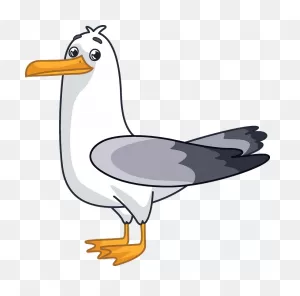 Seagull Clipart - Cartoon - Png Download - Full Size Clipart ClipartFlare.com 