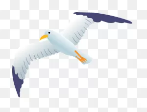 Sea Gull Clipart. Free Download Transparent .png | ClipartFlare