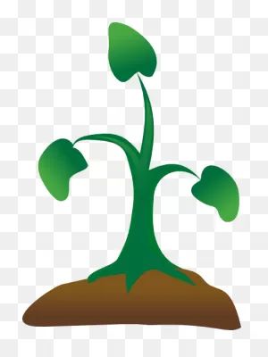 Free Seedling Cliparts, Download Free Seedling Cliparts Png Images ClipartFlare.com 