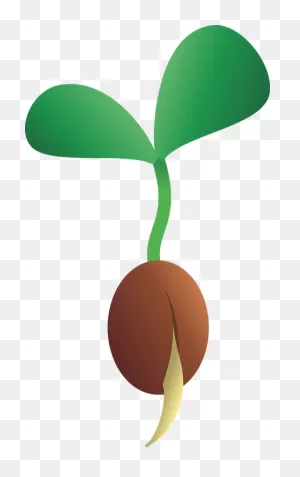 Seedling Seed Growth - Free Vector Graphic On ClipartFlare