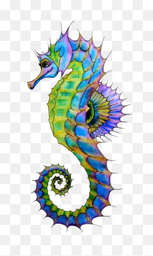 Seahorse Art - ClipartFlare | Seahorse Art, Starfish Painting ClipartFlare.com 