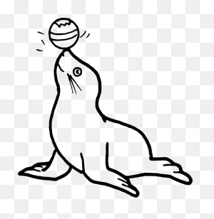 18 Seal Sea Lion Ideas | Sea Lion, Sea, Lion Clipart
