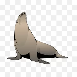 Seal | Free PNG-WebP