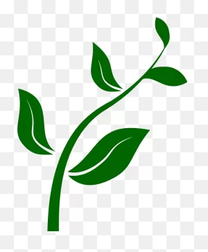 Free Seed Cliparts, Download Free Seed Cliparts Png Images, Free ClipartFlare.com 