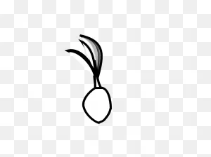 Seeds Clipart Black And White Coconut Seed Black White #qntf0L ClipartFlare.com 