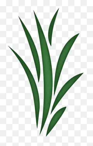Seaweed Clipart - ClipartFlare