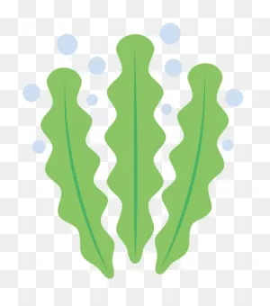 Seaweed Clipart - Graphics - Png Download - Full Size Clipart ClipartFlare.com 