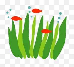 Seaweed And Fish Clipart. Free Download Transparent .png | ClipartFlare
