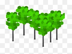 Shrub Clipart Bunch Tree - Bunch Of Trees Clipart - Png Download ClipartFlare.com 