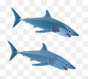 Free Shark Images Download On ClipartFlare - Two Sharks Clipart ClipartFlare.com 