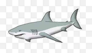 Great White Shark | Wildlife Animal Pedia Wiki | ClipartFlare