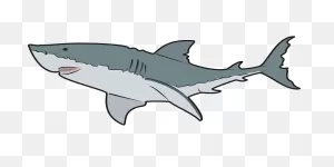 The Ultimate Book Of Sharks | Always In The Middle…