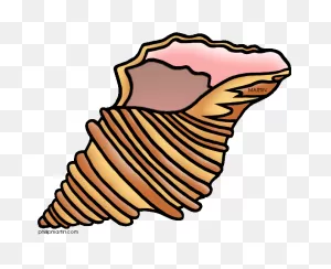 9  Shell Clip Art - Preview : Shell Clip Art | ClipartFlare