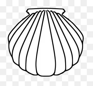 Clipart Of The Baptismal Shell Free Image Download
