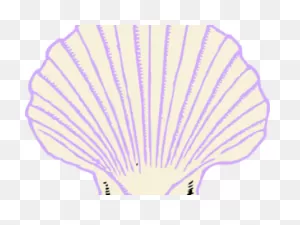 Shell Clipart Purple Shell - Shell Clip Art | Full Size Png ClipartFlare.com 