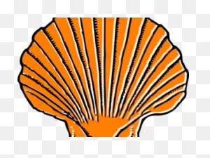 Shell Clipart Orange - Large Sea Shell Clipart - Png Download ClipartFlare.com 